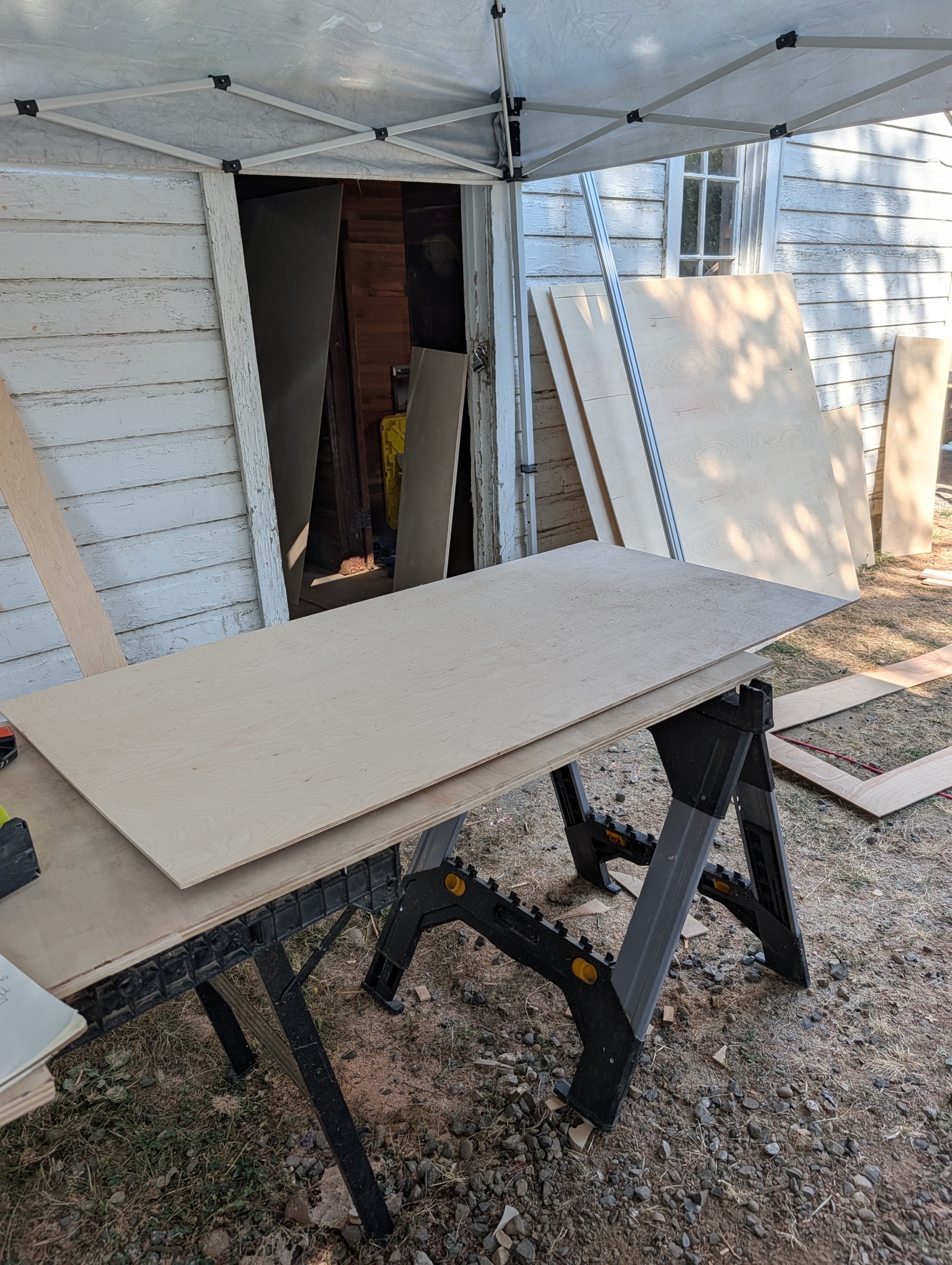 The real panel blank cut to size on sawhorses